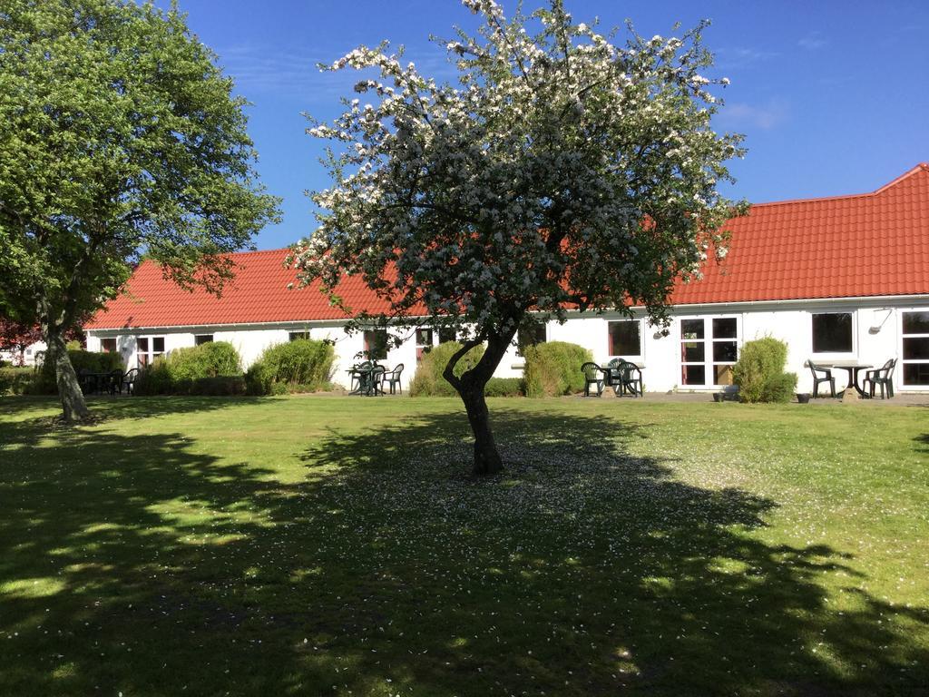 Gammelgaard Feriecenter Laeso エクステリア 写真